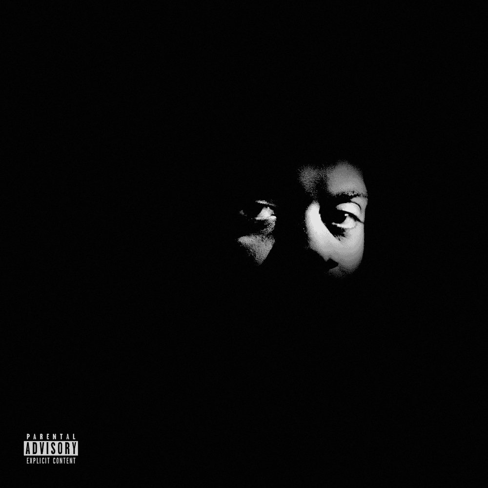 Album cover art for "Life Jacket" by Don Trip