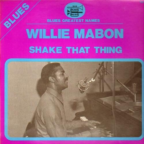 Cover image for Shake That Thing