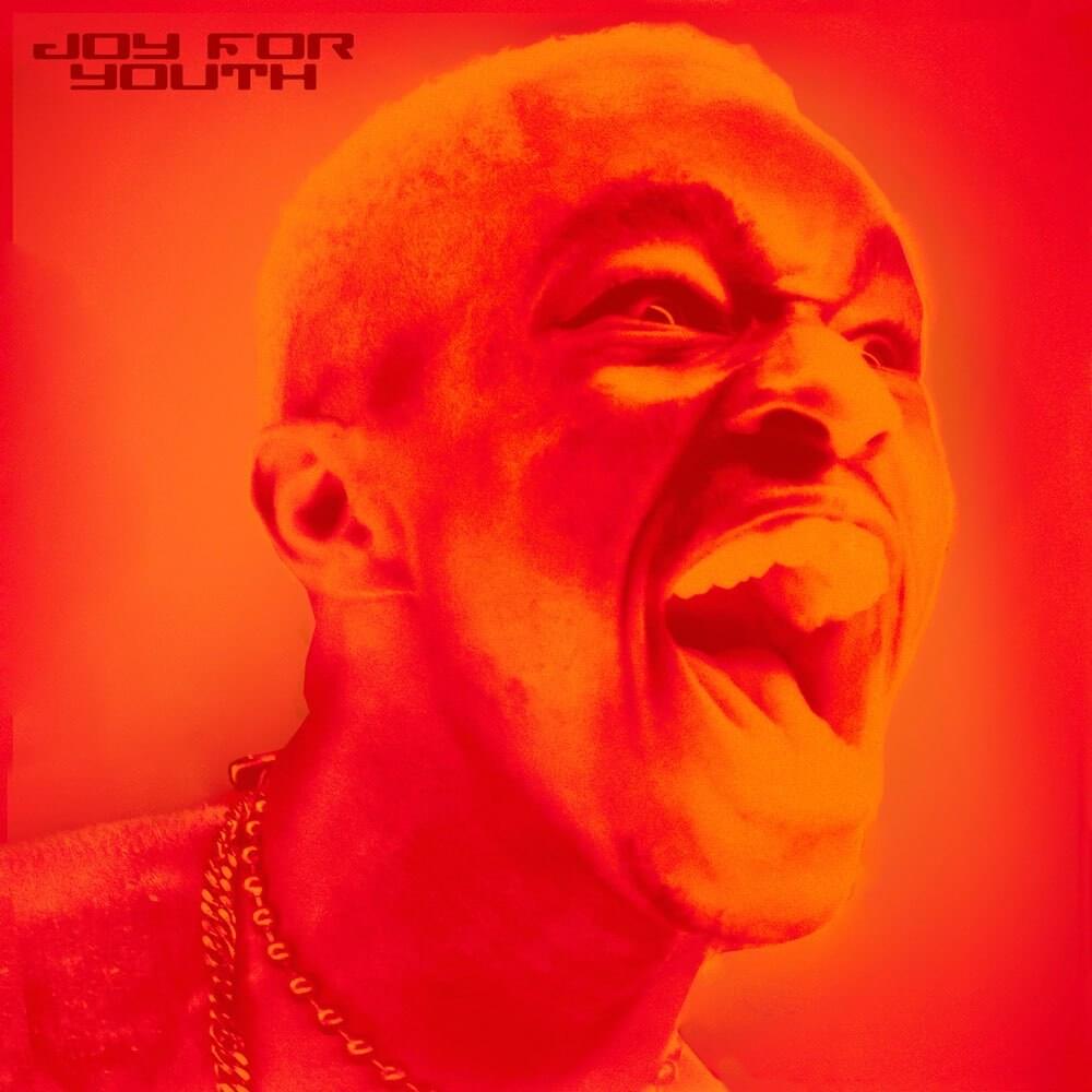 Album cover art for "JOY FOR YOUTH" by Sam Austins & Sir Chloe