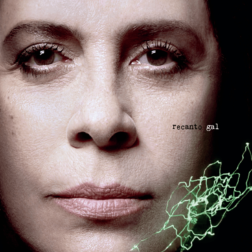 Album cover art for "Neguinho" by Gal Costa