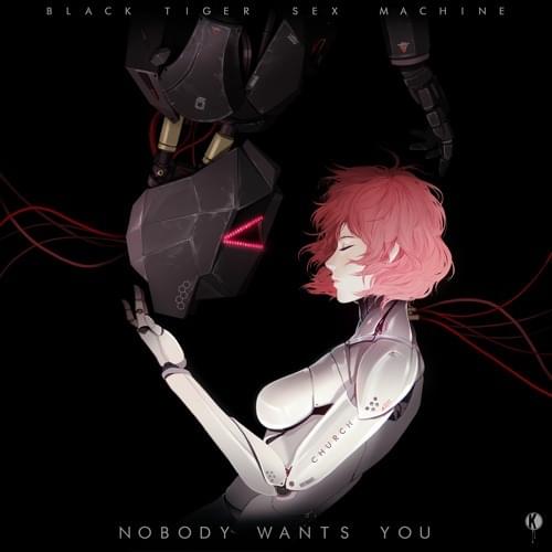 Album cover art for "Nobody Wants You" by Black Tiger Sex Machine