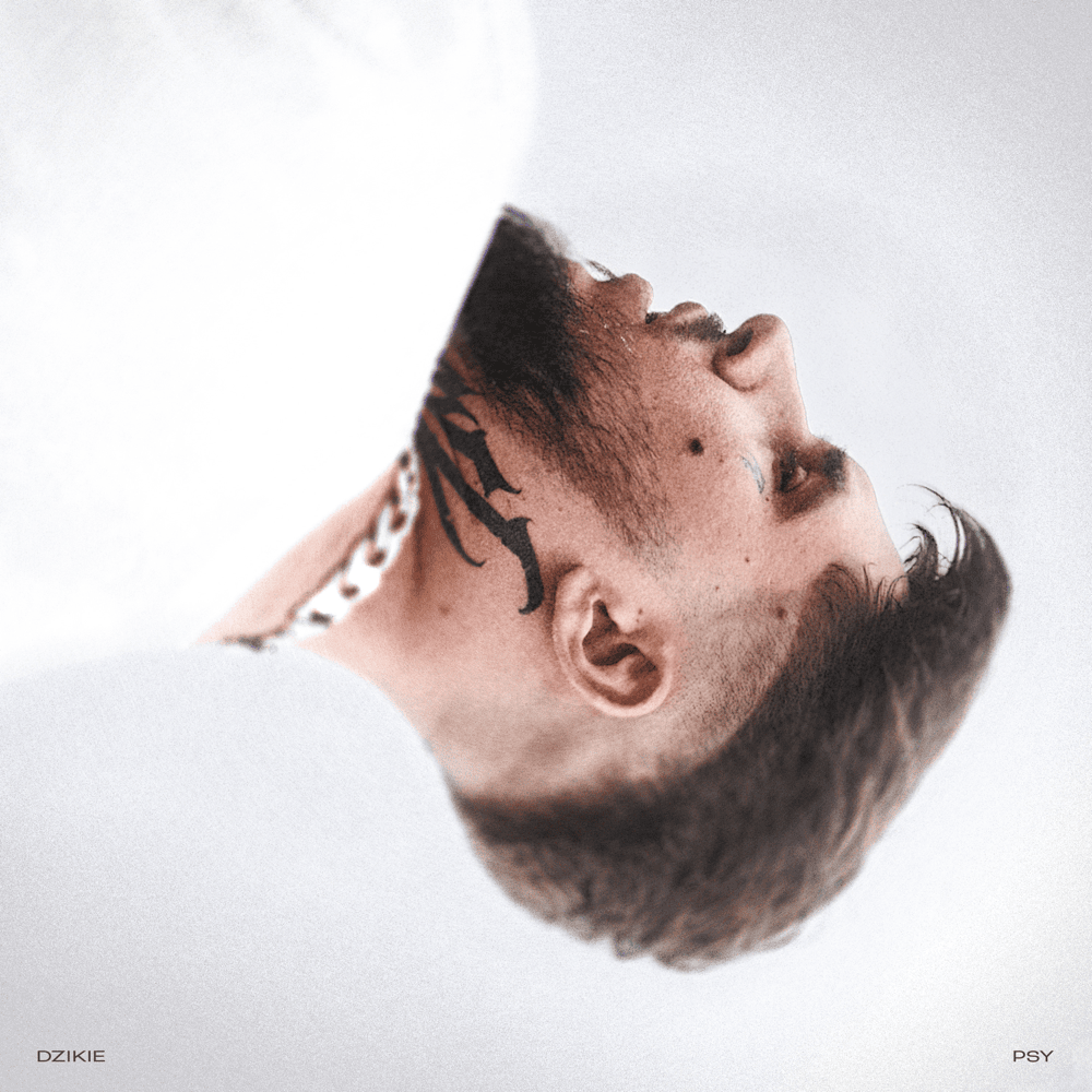 Album cover art for "DZIKIE PSY" by ReTo & Jonatan (POL)