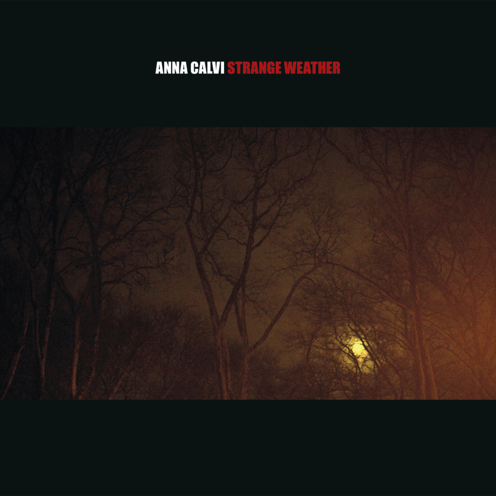 Strange Weather by Anna Calvi