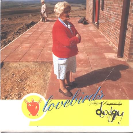 Album cover art for "Lovebirds" by Dodgy (UK)