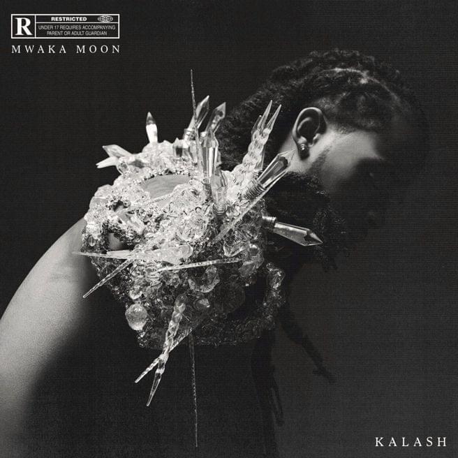 Koussi Koussa by Kalash