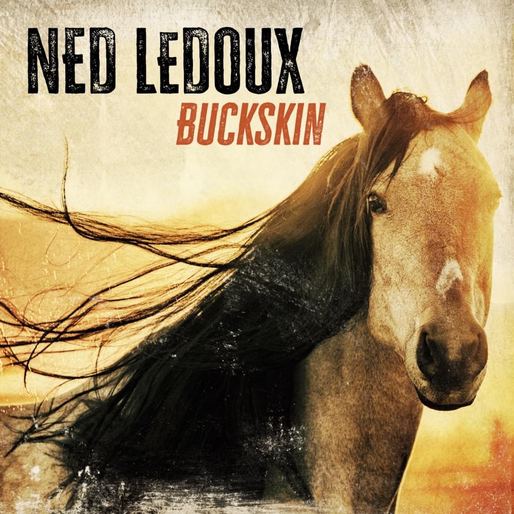 He Rides the Wild Horses by Ned LeDoux