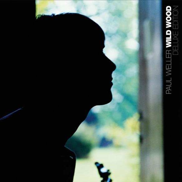 Cover image for Wild Wood (Deluxe)