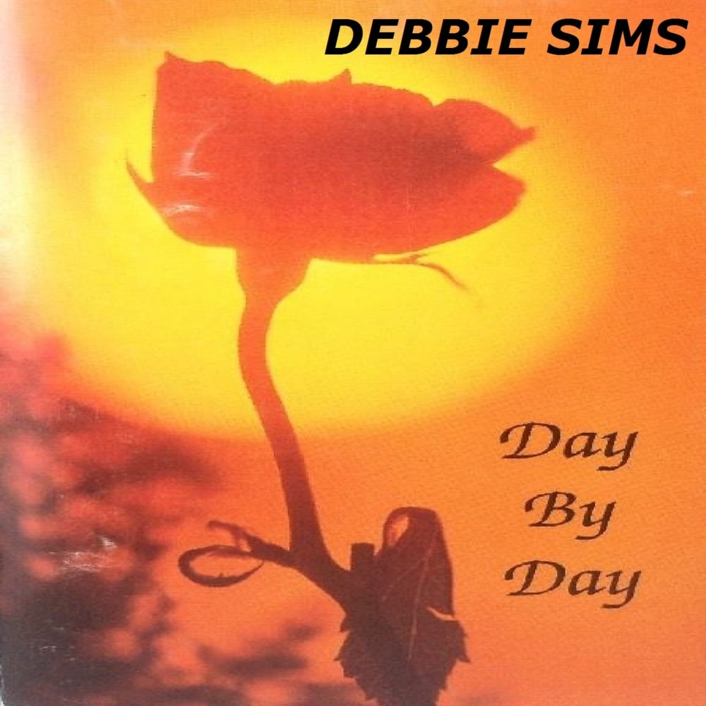 Album cover art for "You Got It All Over Him" by Debbie Sims