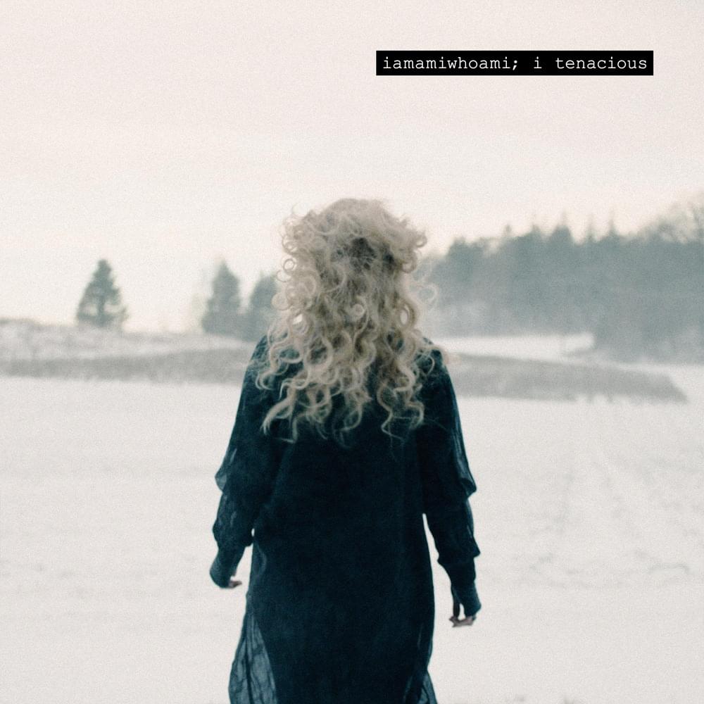 Album cover art for "i tenacious" by iamamiwhoami