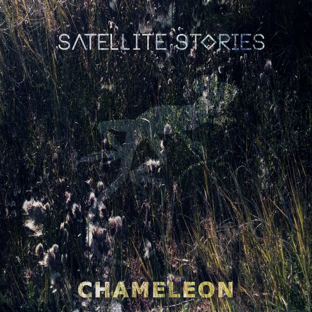 Album cover art for "Chameleon" by Satellite Stories