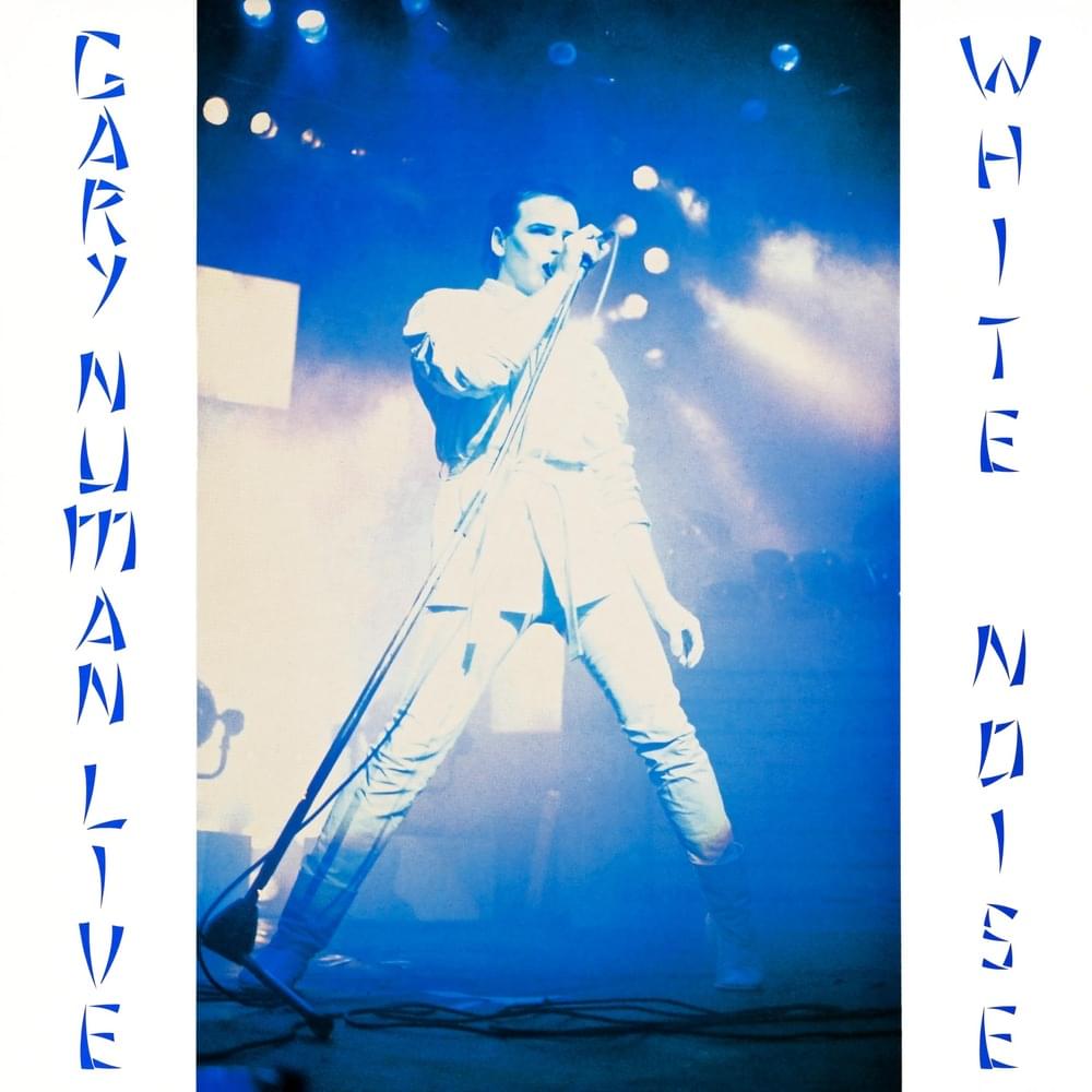 Cover image for White Noise