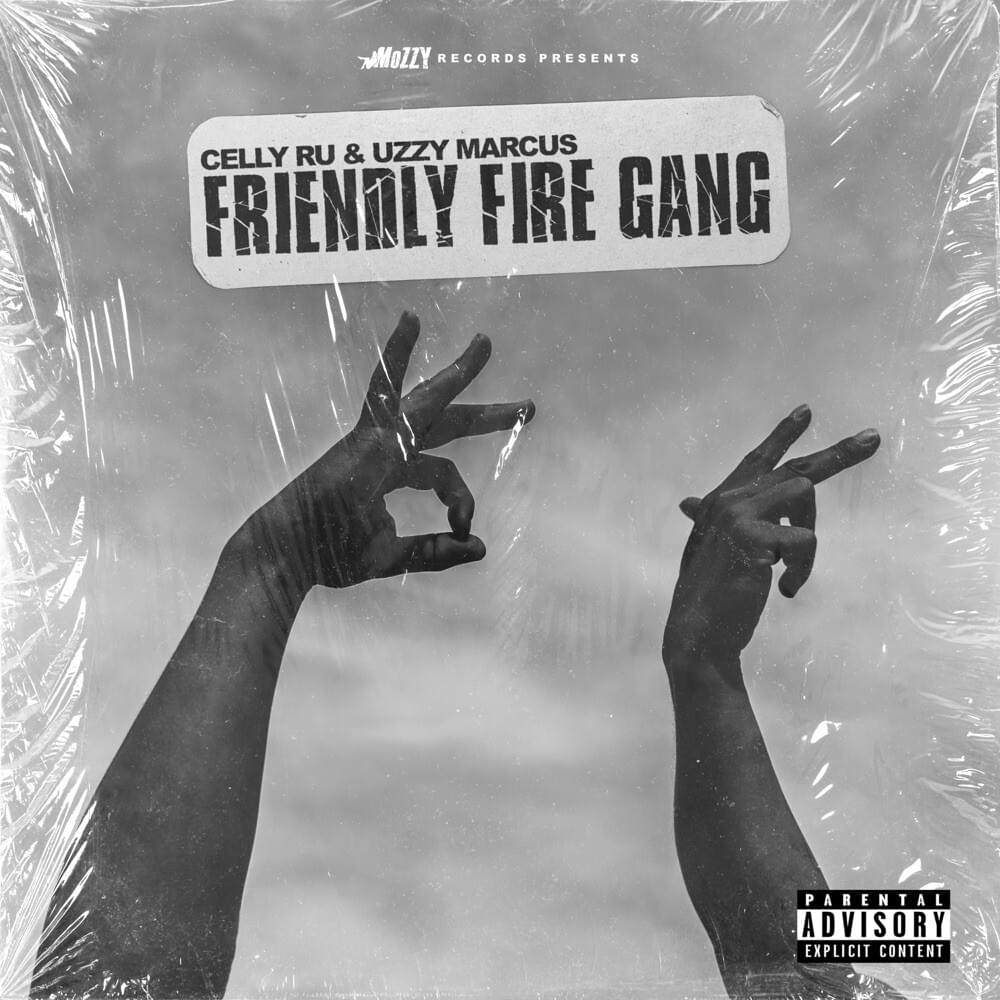 Cover image for Friendly Fire Gang