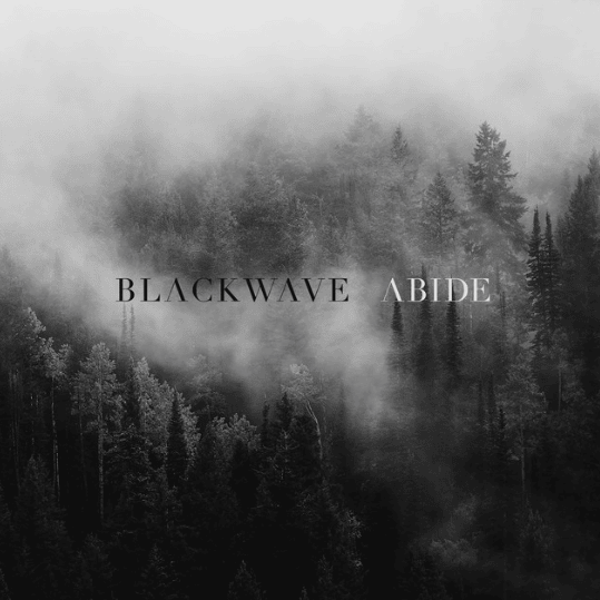 Cover image for Abide