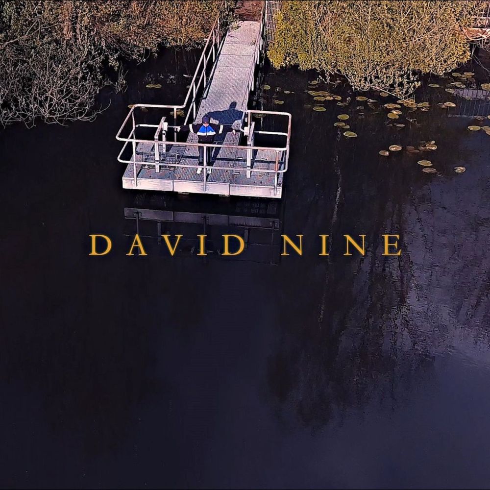 Album cover art for "Qualifikation [JBB 2018]" by DAVID NINE