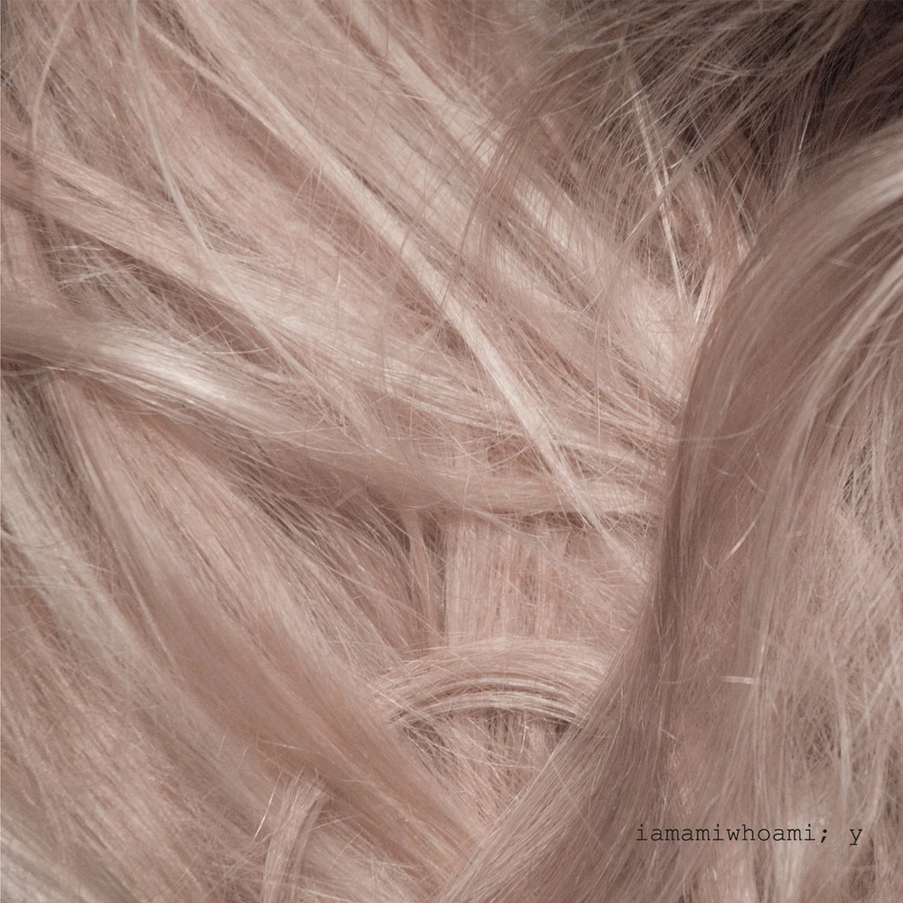 Cover image for y