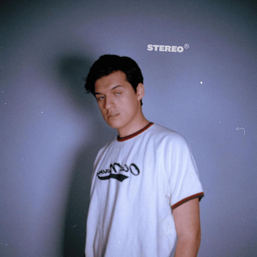 Cover image for Stereo (Vinyl)