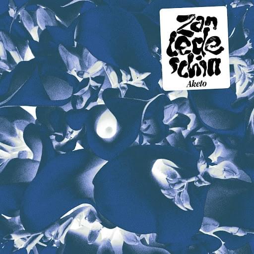 Cover image for Zantedeschia