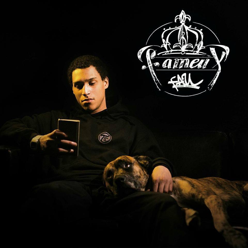 Cover image for Fameux