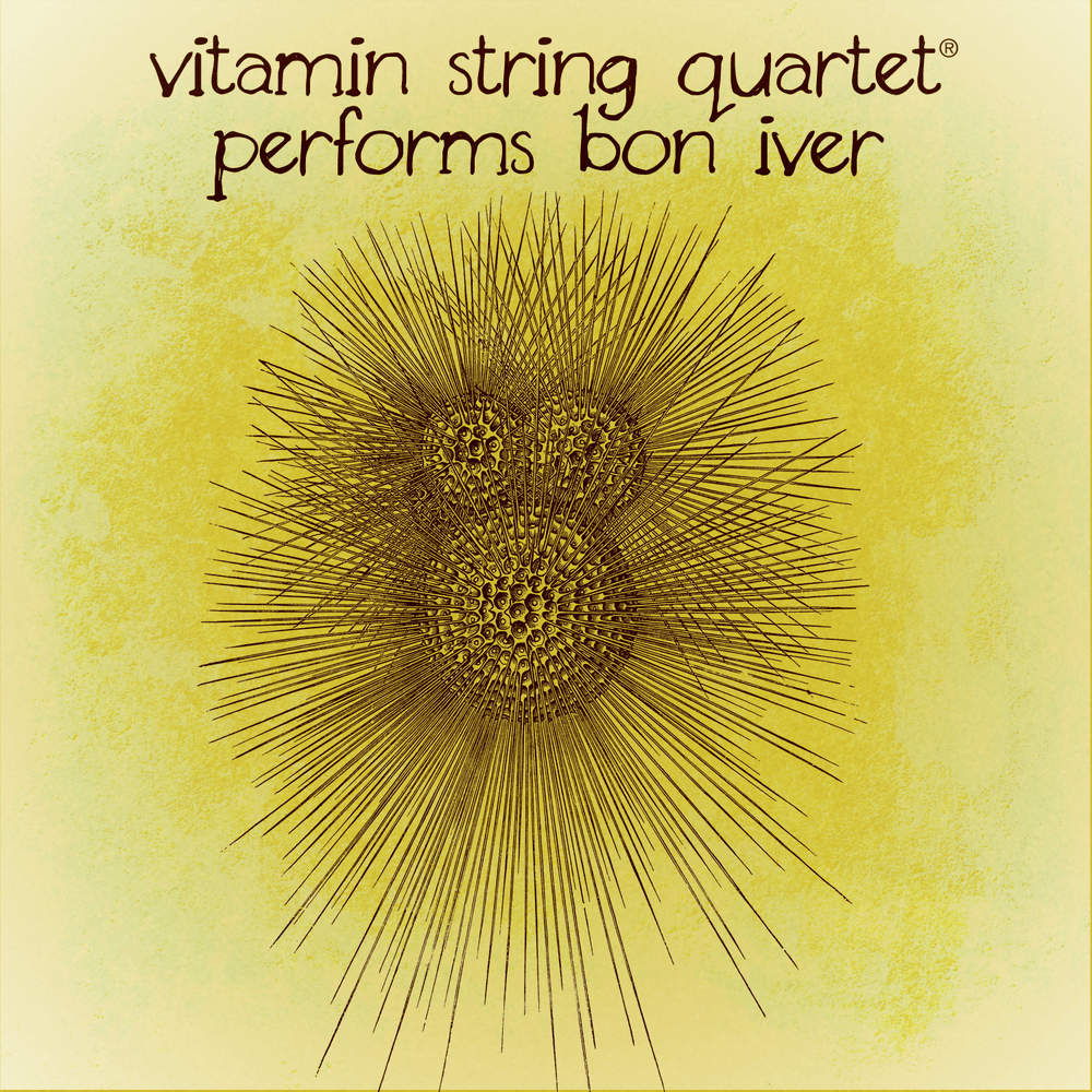 Cover image for Vitamin String Quartet Performs Bon Iver