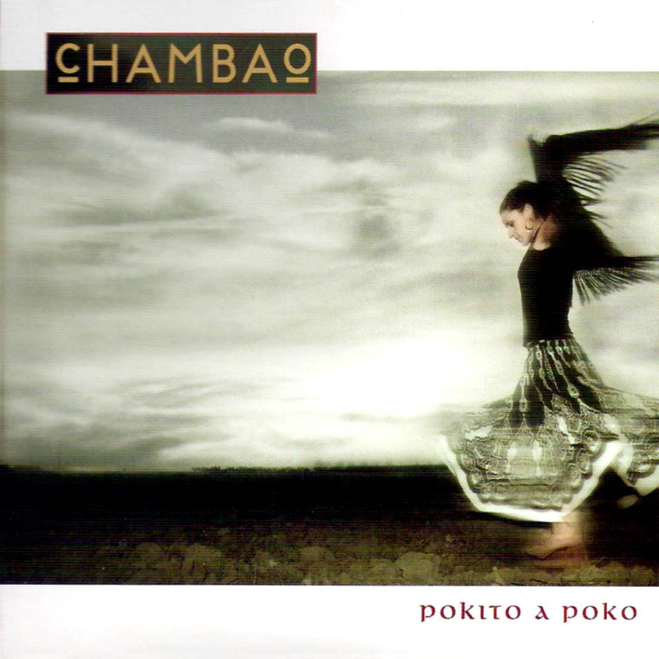 Cover image for Pokito a Poko