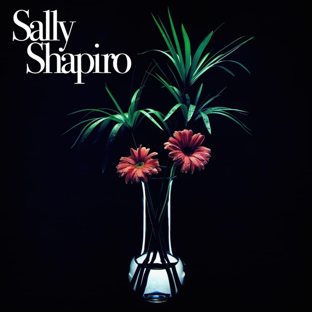 Album cover art for "Fading Away" by Sally Shapiro