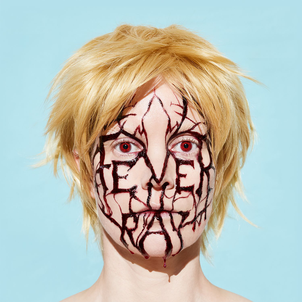 Cover image for Plunge