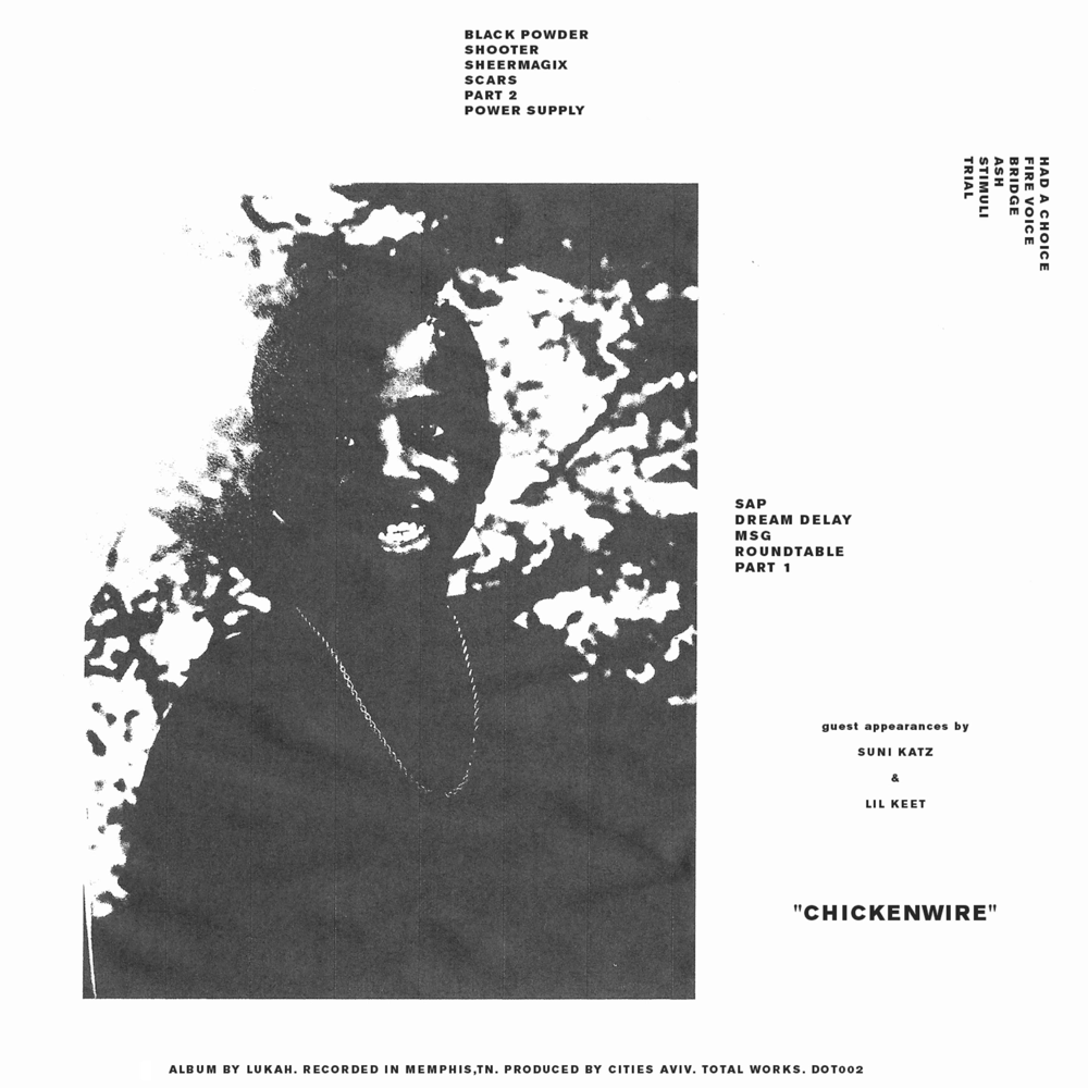 Cover image for Chickenwire