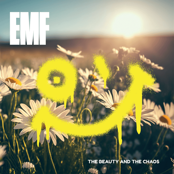 Cover image for The Beauty and the Chaos