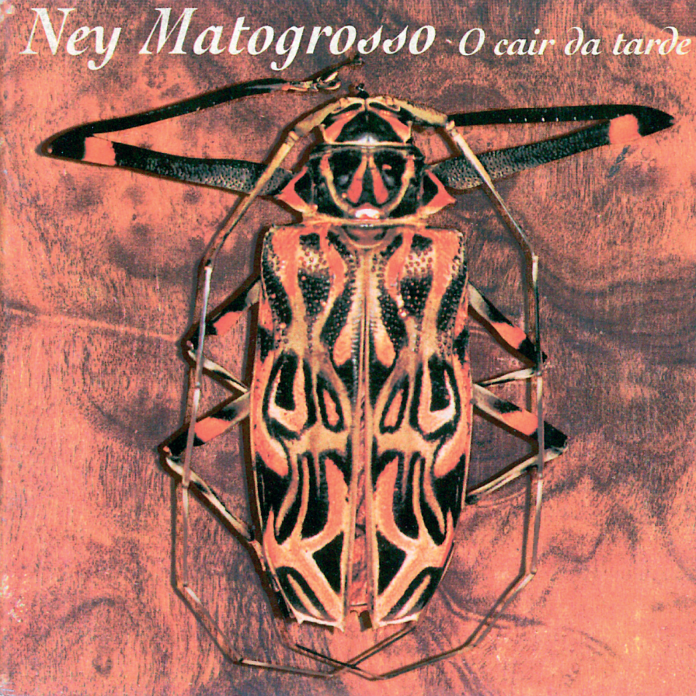 Album cover art for "O Trenzinho do Caipira" by Ney Matogrosso