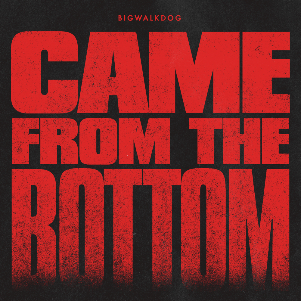 Album cover art for "Came from the Bottom" by BigWalkDog