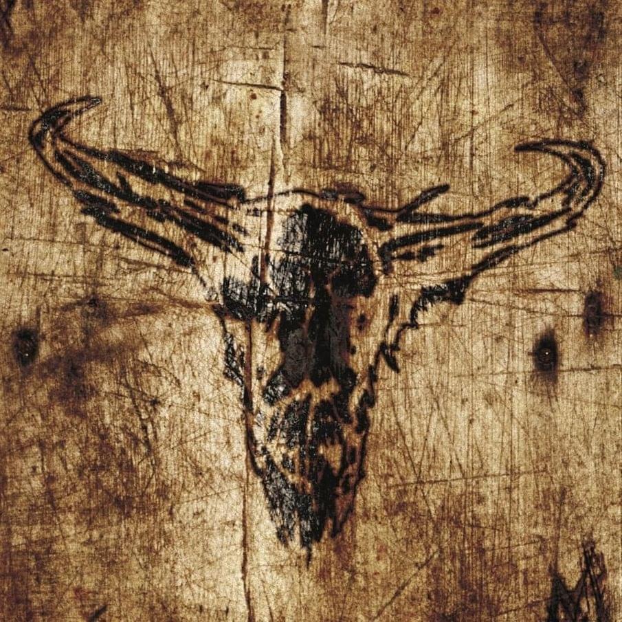 Album cover art for "Southern Hostility" by Upon a Burning Body