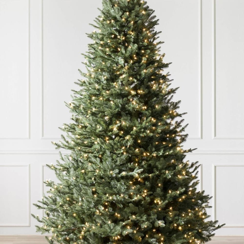 Cover image for A Sklton Christmas