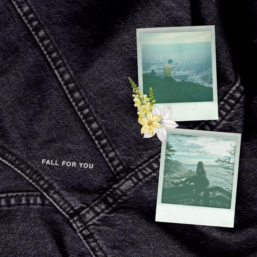 ​fall for you by Steve James
