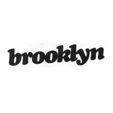 Cover image for Brooklyn