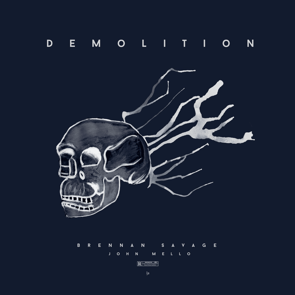 Demolition by Brennan Savage