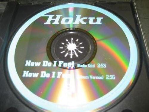 How Do I Feel (The Burrito Song) by Hoku Clements