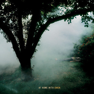 Cover image for At Home with Owen