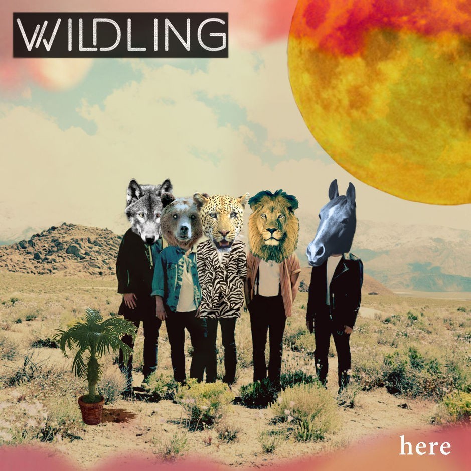 Album cover art for "Hummingbird" by Wildling