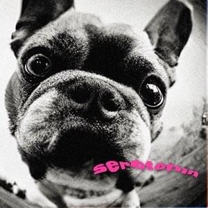 Cover image for Serotonin (Deluxe)