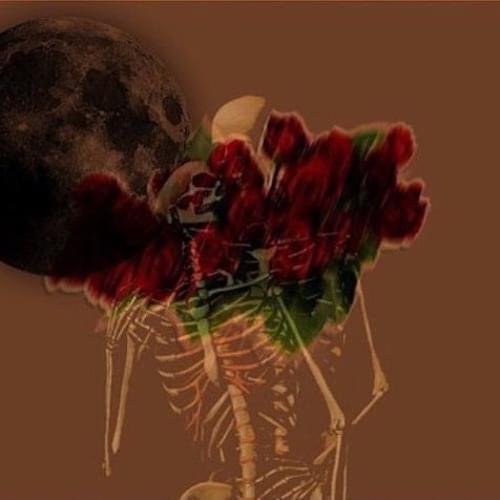 Album cover art for "Night drive" by MAVI