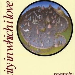 Cover image for The City in Which I Love You