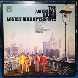 To Put Up With You by The American Breed