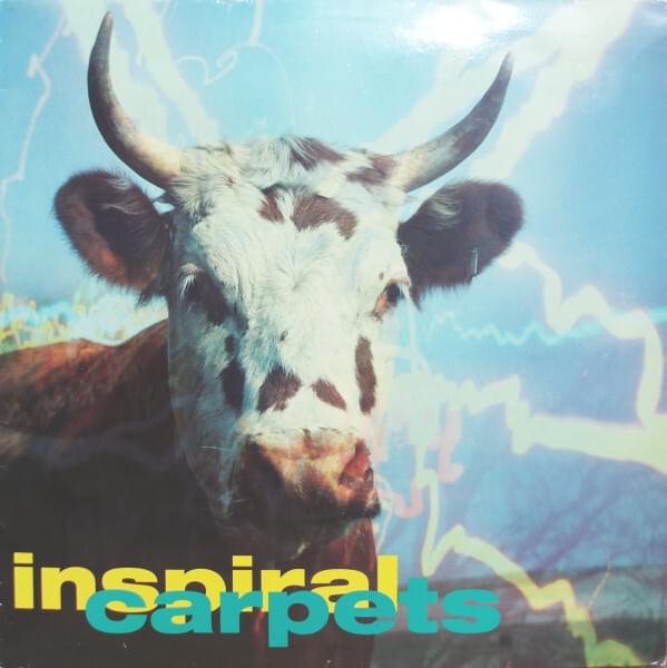 Sackville by Inspiral Carpets