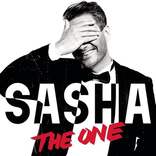 Cover image for The One