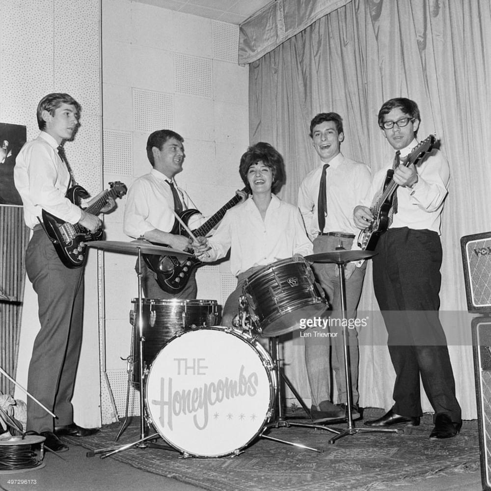 Photo of The Honeycombs