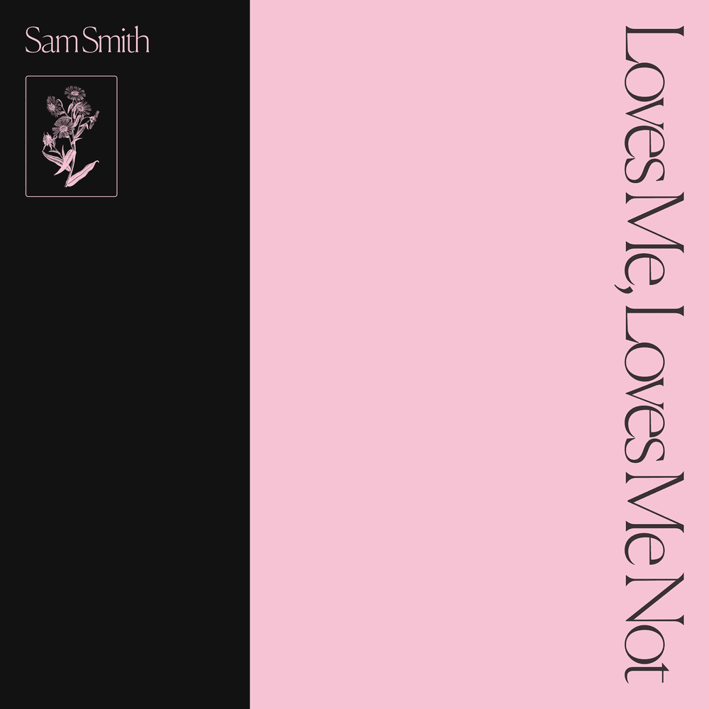 Cover image for Loves Me, Loves Me Not
