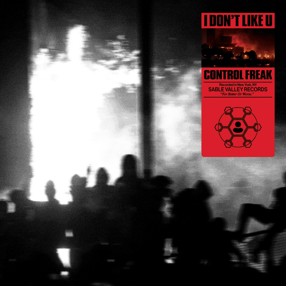 I DON’T LIKE U by Control Freak
