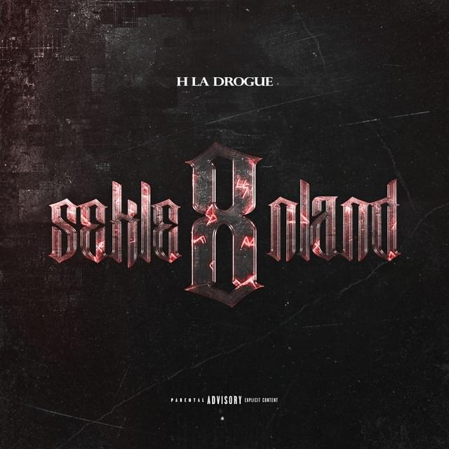 Album cover art for "SEKLENLAND #8" by HLD