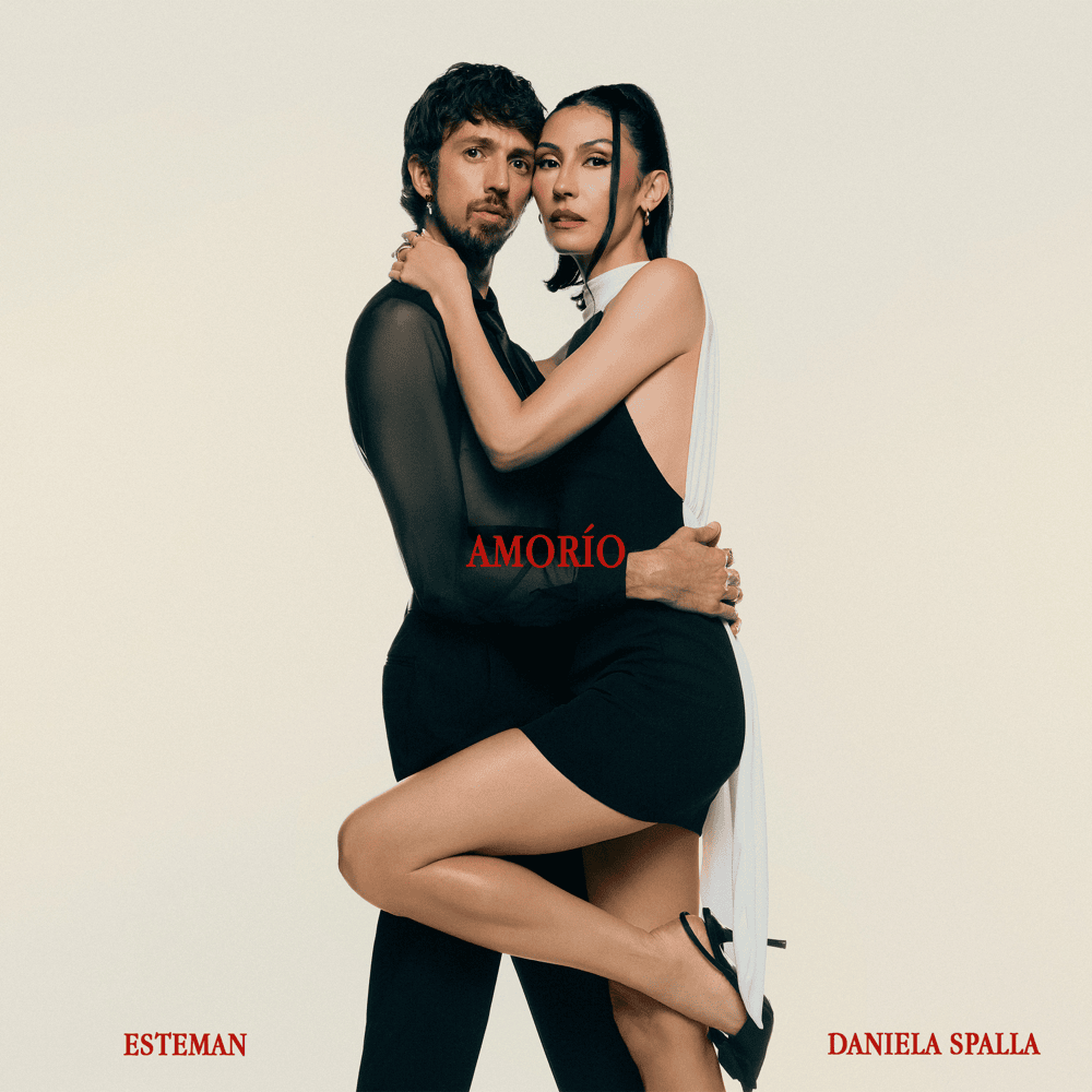 Cover image for Amorío