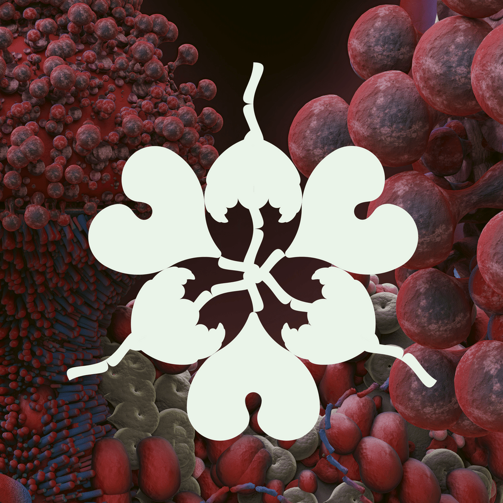 Cover image for The Fossora Remixes